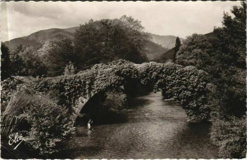 Carte postale ancienne Saint-Etienne-de-Baigorry Le Vieux Pont