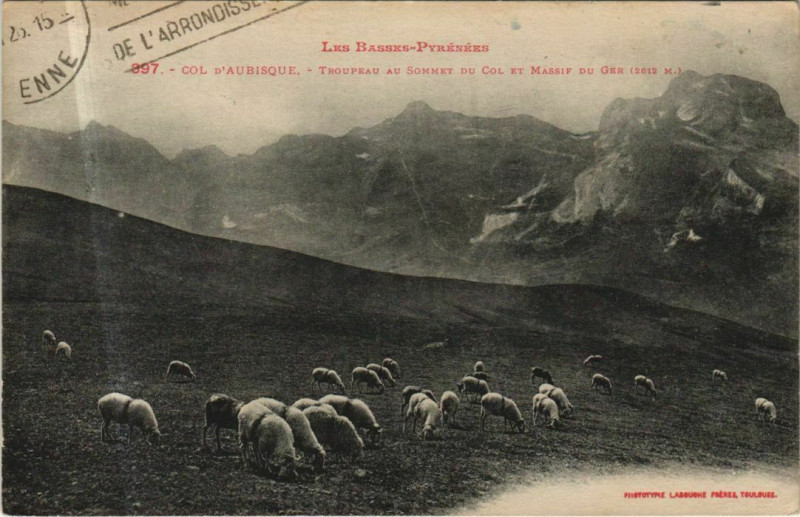 Carte postale ancienne Col d'Aubisque - Troupeau au Sommet du Col et Massif du Ger à Ger