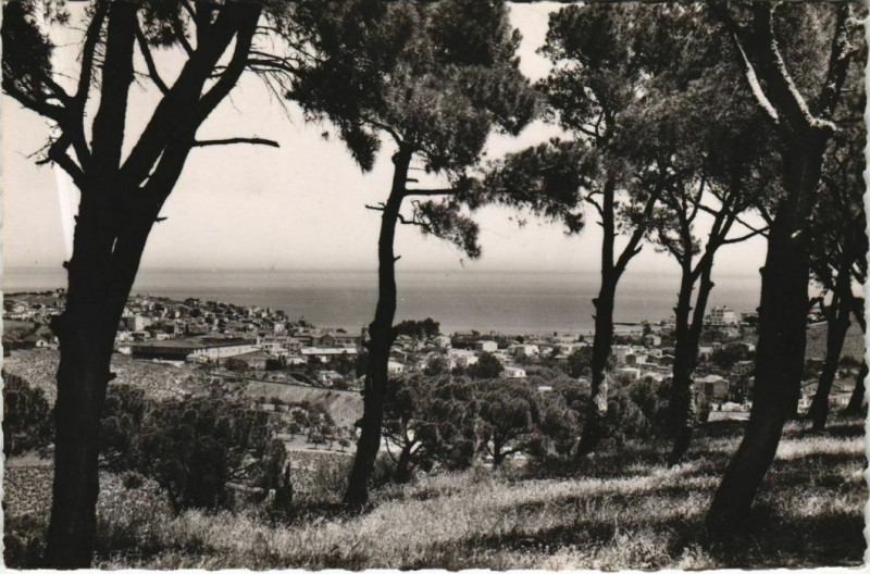 Carte postale ancienne Banyuls Vue Generale