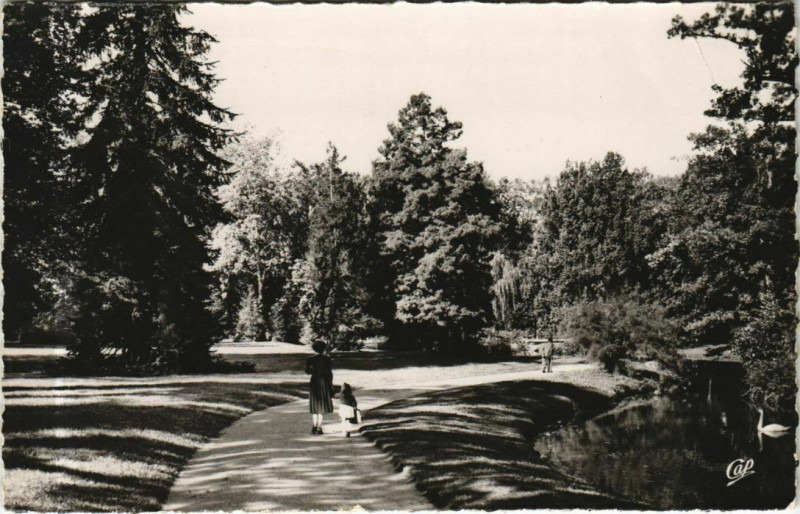 Carte postale ancienne Parc Scene