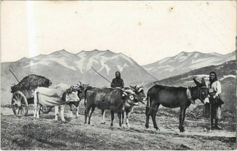 Carte postale ancienne Ladies with a Wagon - Types