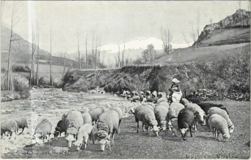 Carte postale ancienne Landscape with Lambs