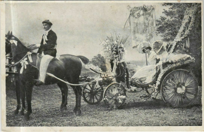 Carte postale ancienne Horse Chariot - Types