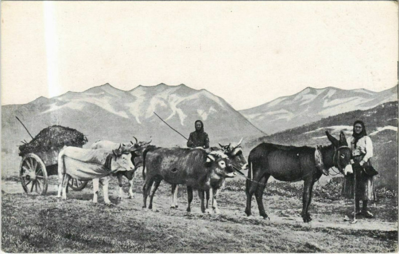 Carte postale ancienne Ladies with a Wagon - Types