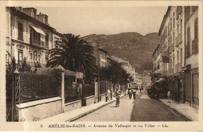 Carte postale ancienne Amelie-les-Bains Avenue de Vallespir et les Villas