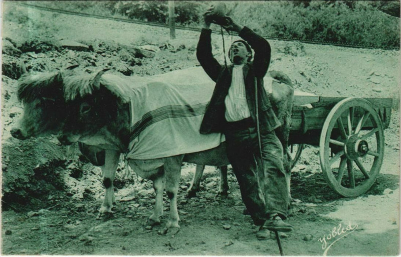 Carte postale ancienne Pays Basque - Le Buveur