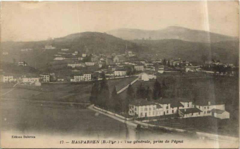 Carte postale ancienne Hasparren Vue Generale - Prise de Pegna à Hasparren
