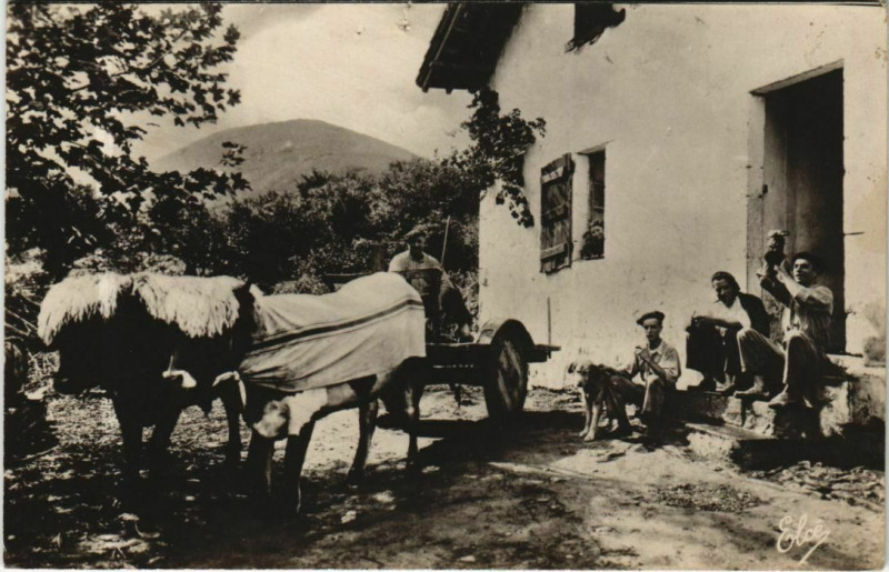 Carte postale ancienne Pays Basque - La Cour de la Ferme