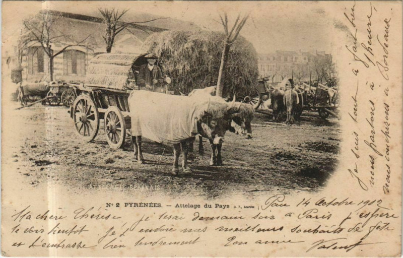Carte postale ancienne Pyrenees - Attelage du Pays