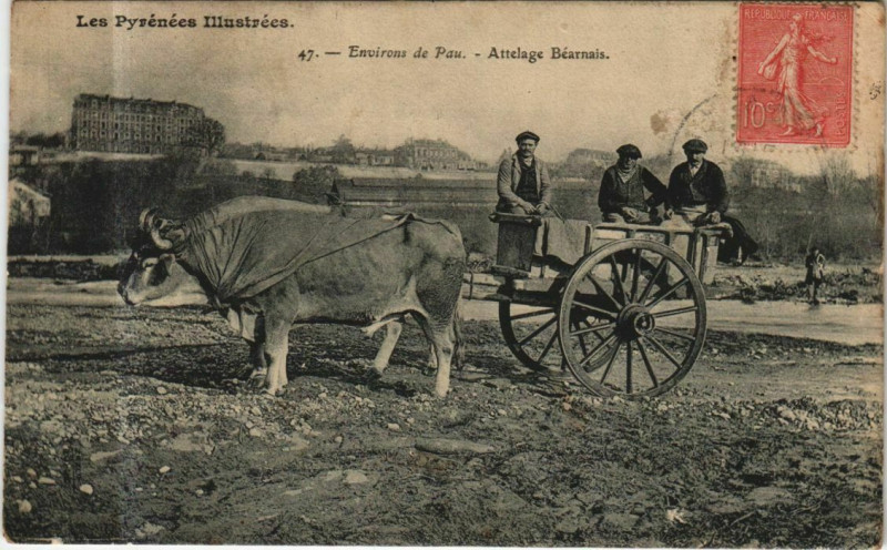 Carte postale ancienne Pau Environs - Attelage Bearnais à Pau