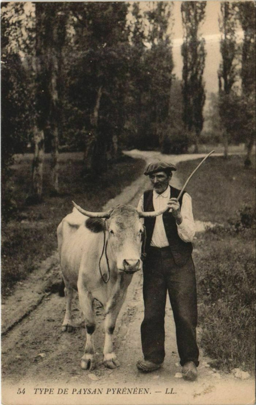 Carte postale ancienne Type de Paysan Pyreneen