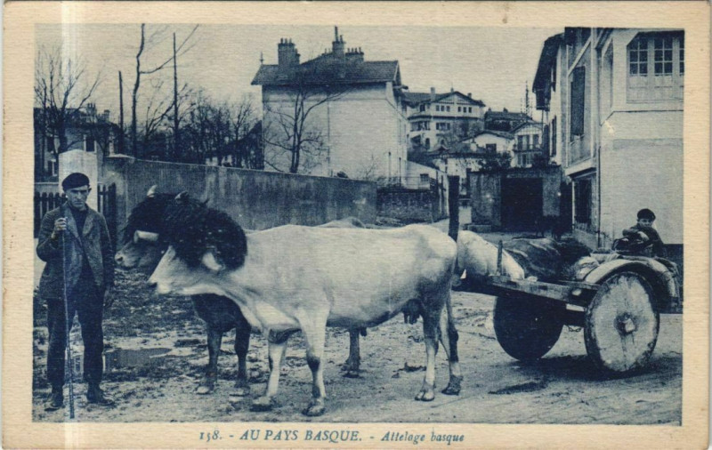 Carte postale ancienne Au Pays Basque - Attelage Basque