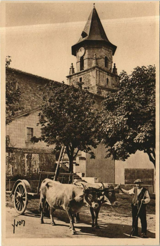 Carte postale ancienne Ainhoa Attelage Basque à Ainhoa