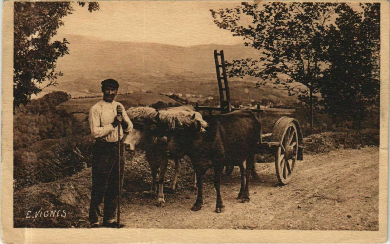 Carte postale ancienne Les Paysages d'Art d'E. Vignes - Attelage Basque à Vignes