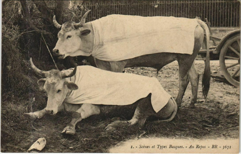 Carte postale ancienne Scenes et Types Basques - Au Repos