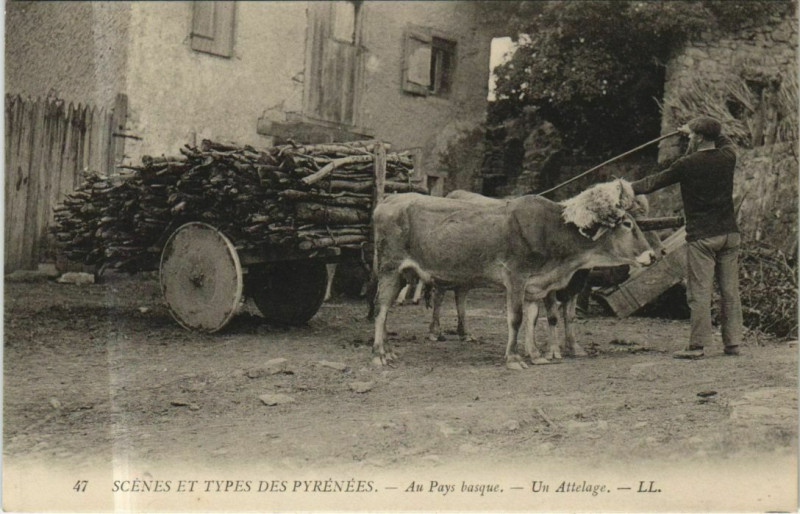 Carte postale ancienne Scenes et Types des Pyrenees - Au Pays Basque - Un Attelage