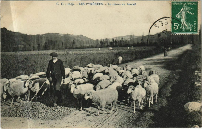 Carte postale ancienne Les Pyrenees - Le Retour au Bercail