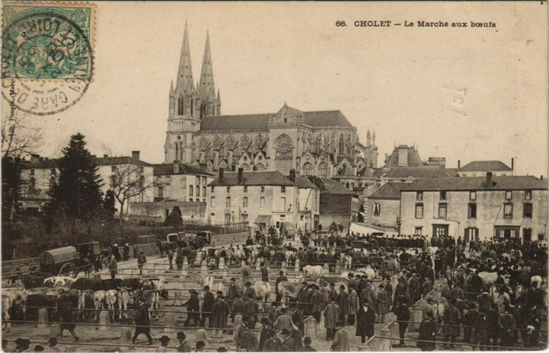 Carte postale ancienne Cholet Le Marche aux Boeufs à Cholet
