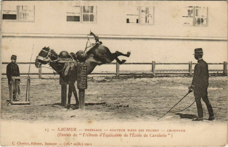 Carte postale ancienne Saumur Dressage - Sauter dans les Piliers - Groupade à Saumur