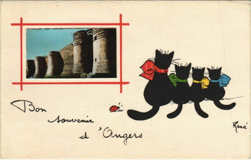 Carte postale ancienne Angers Le Chateau - Cats à Angers
