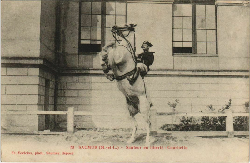 Carte postale ancienne Saumur Sauteur en Liberte - Courbette à Saumur