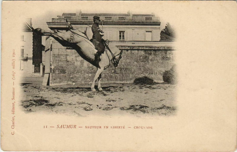 Carte postale ancienne Saumur Sauteur en Liberte - Groupade à Saumur