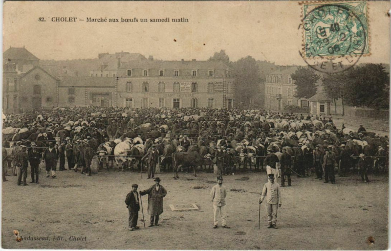 Carte postale ancienne Cholet Marche aux Boeufs un Samedi Matin à Cholet