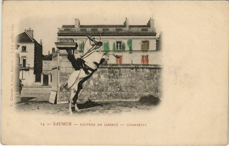 Carte postale ancienne Saumur Sauteur en Liberte - Courbette à Saumur
