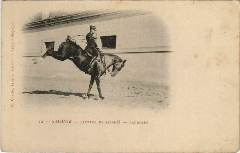 Carte postale ancienne Saumur Sauteur en Liberte - Groupade à Saumur