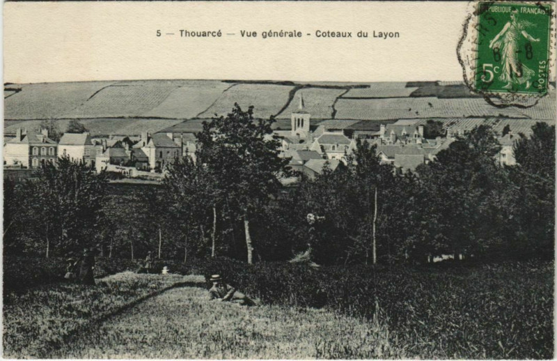 Carte postale ancienne Thouarce Vue Generale - Coteaux du Layon