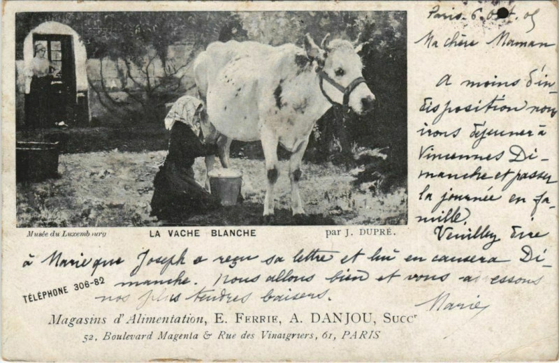 Carte postale ancienne La Vache Blanche