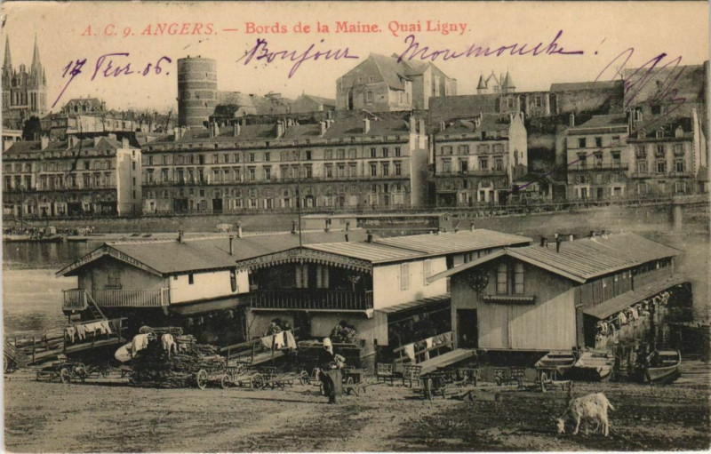 Carte postale ancienne Angers Bords de la Maine - Quai Ligny à Angers