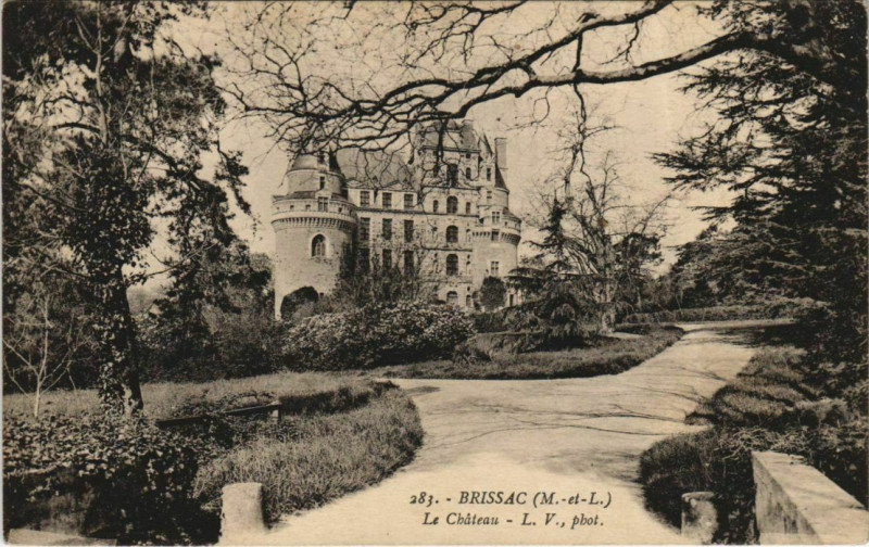 Carte postale ancienne Brissac Le Chateau