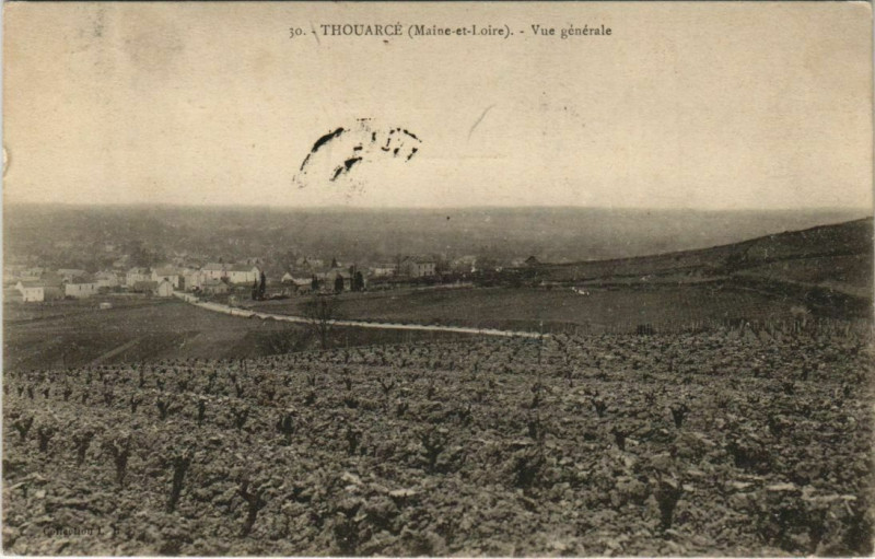 Carte postale ancienne Thouarce Vue Generale