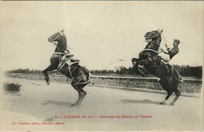 Carte postale ancienne Saumur Dressage du Sauteur en Tandem à Saumur