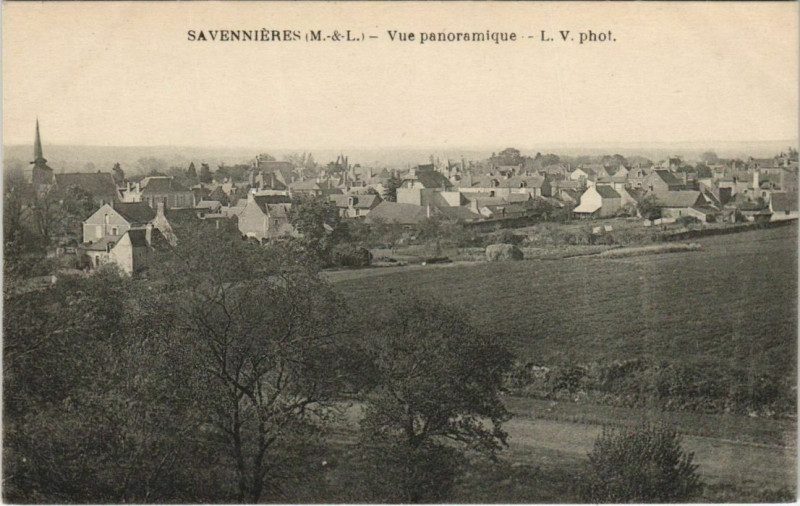 Carte postale ancienne Savennieres Vue Panoramique