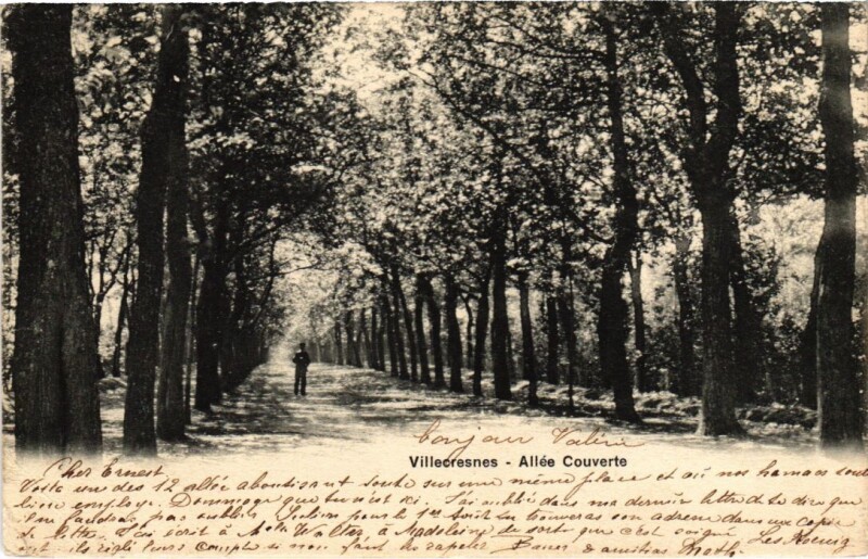 Carte postale ancienne Villecresnes Allee Couverte France à Villecresnes