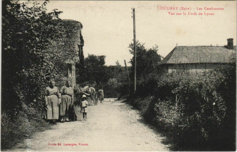 Carte postale ancienne Coudray Les Gaudinettes - Vue sur la Foret de Lyons à Coudray