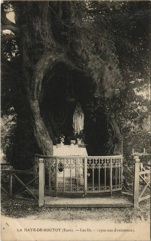 Carte postale ancienne La Haye-de-Routot Les Ifs à La Haye-de-Routot