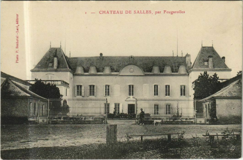 Carte postale ancienne Chateau de Salles - par Feugarolles
