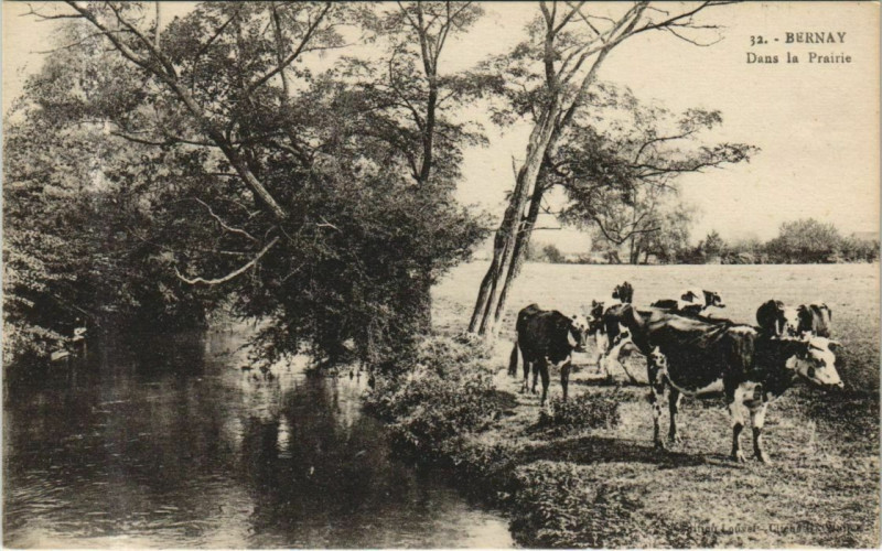 Carte postale ancienne Bernay Dans la Prairie à Bernay