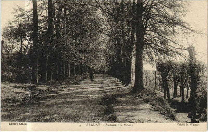 Carte postale ancienne Bernay Avenue des Monts à Bernay