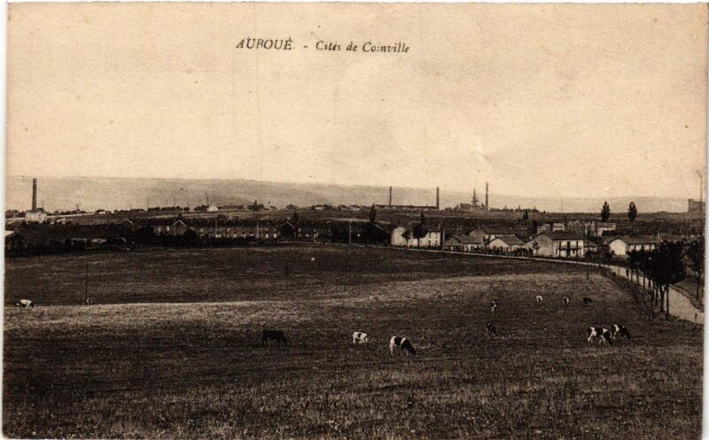 Carte postale ancienne Auboue - Auboué - Cités de Coinville à Auboué