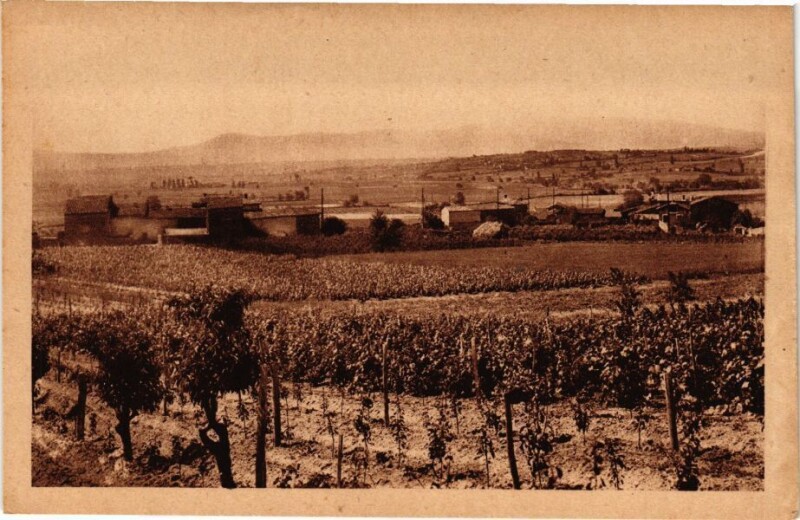 Carte postale ancienne Saint-Laurent d'Agny-La Clair en Bas à Saint-Laurent-d'Agny