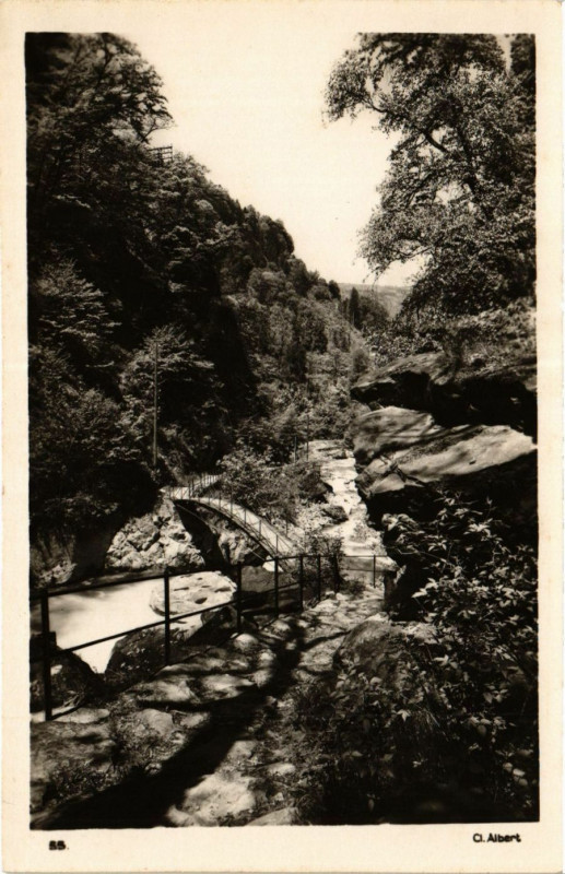 Carte postale ancienne Dauphiné - Allevard-les-Bains. Le Bout du Monde à Allevard