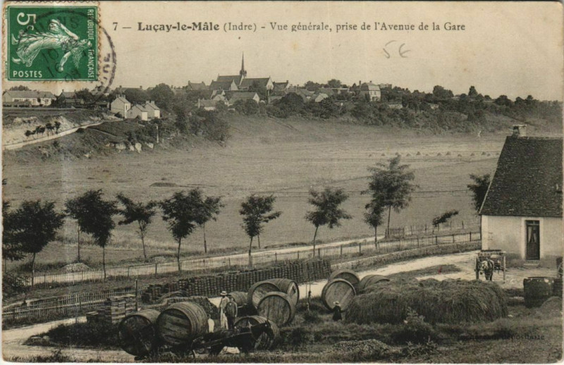 Carte postale ancienne Lucay le Male Vue Generale France