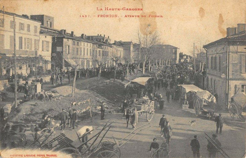 Carte postale ancienne Fronton Avenue Du Foirail à Fronton