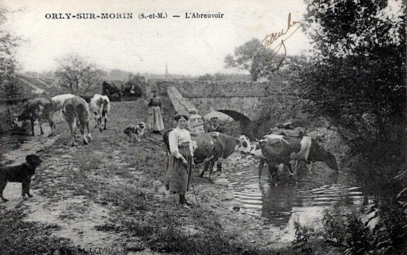 Carte postale ancienne L'Abreuvoir à Orly-sur-Morin