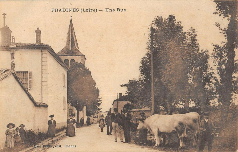 Carte postale ancienne Pradines Une Rue à Pradines
