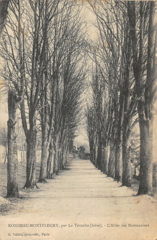 Carte postale ancienne Rondeau Montfleury Par La Tronche L'Allee Des Marronniers à La Tronche